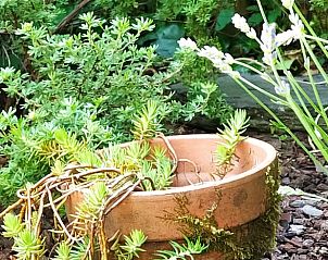 Guest house 093405 - Holiday property Luxembourg - Vakantiehuis in Bertogne