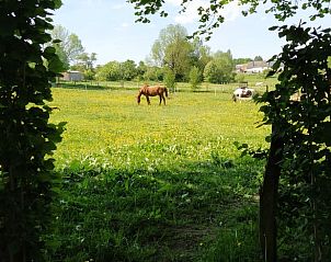 Guest house 093406 - Bed and Breakfast Luxembourg - Vakantiehuis in Bertogne