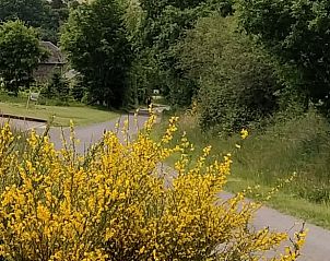 Guest house 093406 - Bed and Breakfast Luxembourg - Vakantiehuis in Bertogne