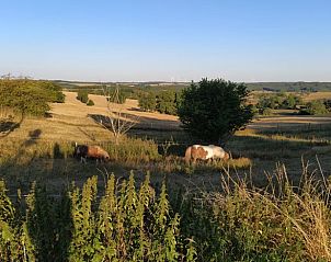 Guest house 093406 - Bed and Breakfast Luxembourg - Vakantiehuis in Bertogne