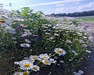 Guest house 0934505 - Holiday property Luxembourg - Macray La Colline aux Framboises