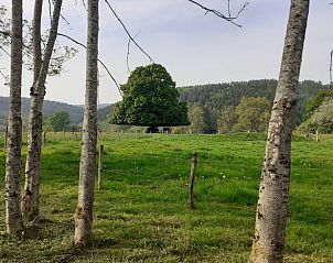 Unterkunft 0936905 - Ferienhaus Luxemburg - Vakantiehuis in Grandmenil
