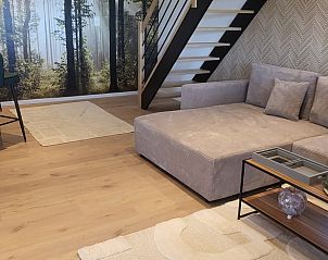 Gezellige woonkamer in Vakantiehuis in Grandmenil, Ardennen met comfortabele bank en sfeervolle boswanddecoratie.