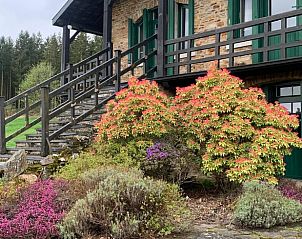 Unterkunft 093916 - Ferienhaus Luxemburg - Vakantiehuisje in Manhay