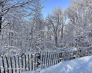 Guest house 093926 - Chalet Luxembourg - Blue Wood