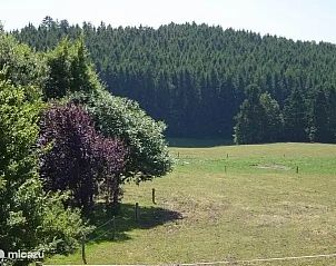 Verblijf 094006 - Vakantiewoning Ardennen (Luxemburg) - La Luna Ardennen -WiFi