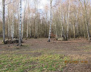 Guest house 094007 - Chalet Luxembourg - La For�t