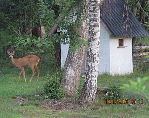 Unterkunft 094021 - Chalet Luxemburg - La Foret
