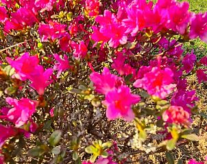 Guest house 0949404 - Holiday property Luxembourg - Vakantiehuis Antre Parenthse de Sainte-Ccile