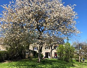 Unterkunft 0951401 - Ferienhaus Luxemburg - Gîte Ardennes La Bocogne 