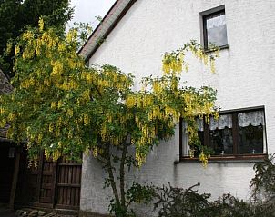 Verblijf 0953802 - Vakantiewoning Ardennen (Luxemburg) - Huisje in ..Buisson