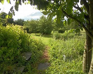 Green garden surrounding La Terra vacation home Durbuy, ideal for relaxation.