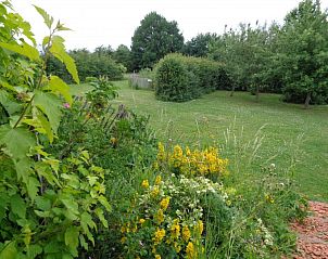 Flowering garden at La Terra vacation home Durbuy, with colorful flowers.