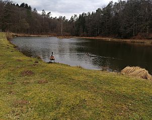 Guest house 0960204 - Chalet Luxembourg - Chatillon 67