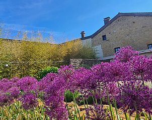 Unterkunft 0961503 - Ferienhaus Luxemburg - Huisje in Torgny