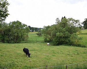 Guest house 0963115 - Chalet Luxembourg - Maquis du cerf