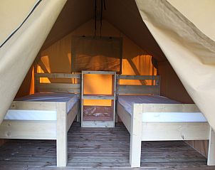 Guest house 096313 - Tent house Luxembourg - Safaritent