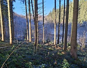 Unterkunft 0963817 - Ferienhaus Luxemburg - Villa C07 Borzée