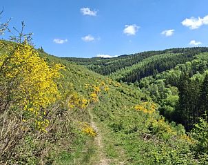 Unterkunft 0963817 - Ferienhaus Luxemburg - Villa C07 Borzée
