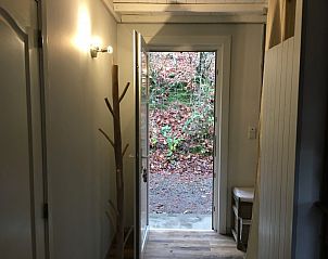 Verblijf 096385 - Chalet Ardennen (Luxemburg) - Bois du Ry