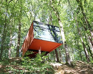 Unterkunft 096394 - Ferienhaus Luxemburg - Cabane dans les arbres