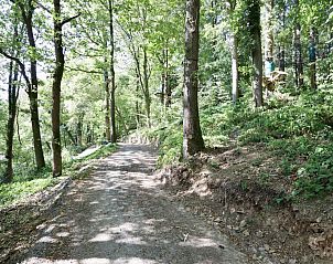 Unterkunft 096394 - Ferienhaus Luxemburg - Cabane dans les arbres
