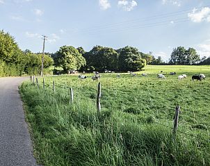Guest house 096556 - Holiday property Luxembourg - Amante