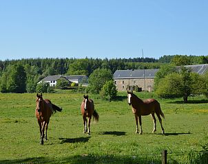 Guest house 096563 - Holiday property Luxembourg - Fermette Erpigny