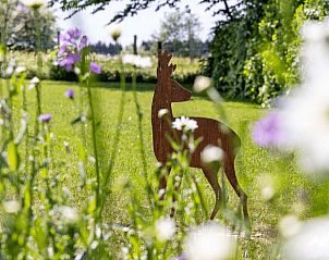 Guest house 0973002 - Holiday property Luxembourg - Vakantiehuis in Vlessart