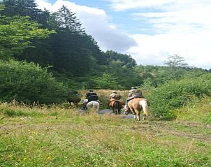 Guest house 0973003 - Holiday property Luxembourg - La Source des Bois