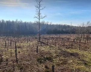 Unterkunft 0973101 - Ferienhaus Luxemburg - Vakantiehuisje in Namoussart