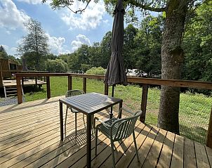Geniet van de serene natuur op het terras van Cocoon de la Semois, een huisdiervriendelijke vakantiewoning in Bouillon, Ardennen, Belgi.