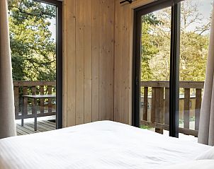 Unterkunft 097543 - Ferienhaus Luxemburg - Cocoon de la Semois