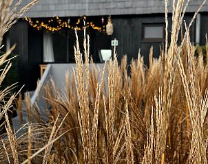 Verblijf 099109 - Vakantiewoning Ardennen (Luxemburg) - Vakantiehuisje in Hotton