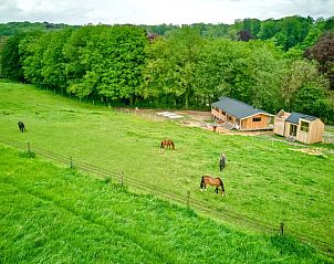 Unterkunft 100202 - Ferienhaus Wallonisch Brabant - Vakantiehuisje in Villers-la-ville
