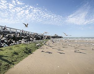 Guest house 1102131 - Apartment Belgian Coast - Appartement Centrally located "Relax and Reset"