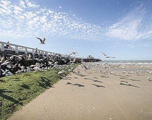 Guest house 1102188 - Holiday property Belgian Coast - Vakantiehuis Wanderlust Belgium