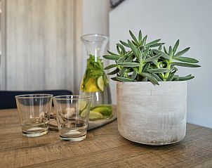 Detail van planten en glazen in Suite met stadszicht | 4p, Blankenberge, Belgische kust voor een frisse ambiance.