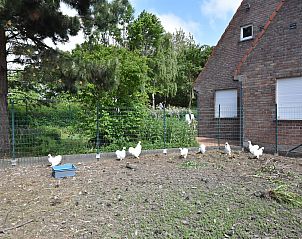 Unterkunft 1109141 - Ferienhaus Belgischen Küste - Valkenhorst