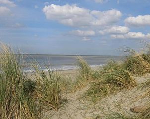 Guest house 1109149 - Holiday property Belgian Coast - Breeduyn Village 5
