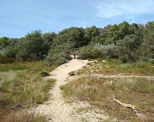 Ontdek de natuurlijke omgeving van Chalet in Bredene aan de Belgische kust, ideaal voor een serene vakantie in een prachtig duinlandschap.