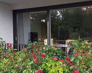 Verblijf 1110816 - Appartement Belgische kust - tmosseltje