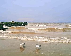 Guest house 1113110 - Apartment Belgian Coast - NEMROD 401
