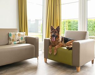 Guest house 111321 - Holiday property Belgian Coast - Comfort Lodge | 6 p.(50 m2)- Honden toegelaten - Met airco