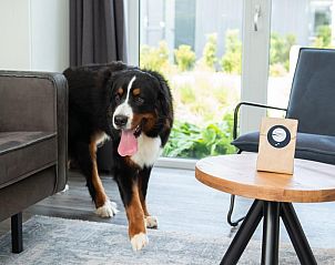 Guest house 111342 - Holiday property Belgian Coast - Premium Lodge I 6 p. (60 m2) - Met Airco - Honden toegelaten