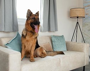 Guest house 111346 - Holiday property Belgian Coast - Wood Lodge | 4 p. (44 m2) - Met Airco - Honden toegelaten