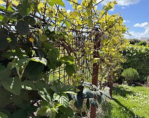 Guest house 111354 - Holiday property Belgian Coast - Nieuwendamme 008