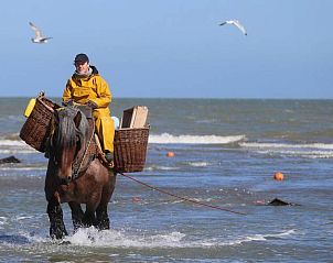 Guest house 111458 - Holiday property Belgian Coast - Villa 't mezennestje