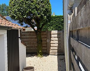 Guest house 112241 - Holiday property Belgian Coast - Vakantiehuis Zonnewind in der Nhe von Dnen und Wald