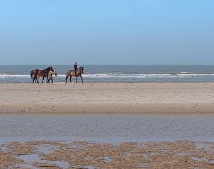 Unterkunft 114009 - Appartement Belgischen Küste - Appartement Wanderlust with garage